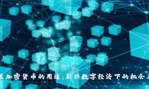 乌克兰加密货币的用途：新兴数字经济下的机会与挑战