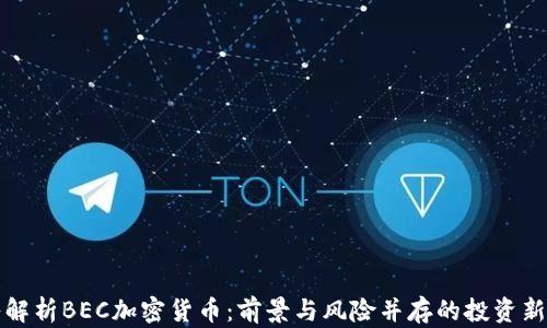
深入解析BEC加密货币：前景与风险并存的投资新选择