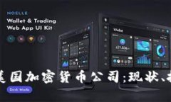 全面解析美国加密货币公司：现状、挑战与未来