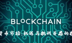 海南加密货币市场：机遇与挑战并存的投资新领