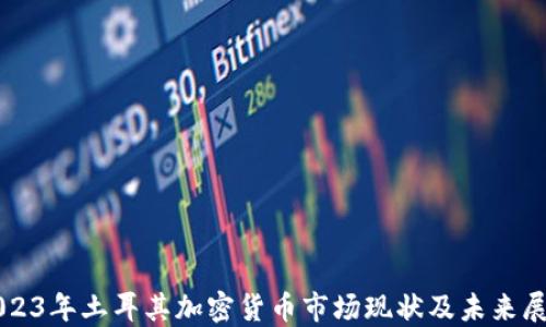 
2023年土耳其加密货币市场现状及未来展望