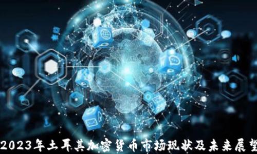 
2023年土耳其加密货币市场现状及未来展望