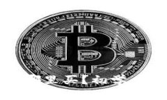 加密货币在哪里买？初学者的终极指南