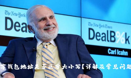 TP数字钱包地址是否区分大小写？详解及常见问题解析