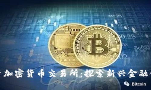 淡马锡投资加密货币交易所：探索新兴金融领域的机遇