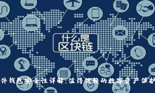 TP硬件钱包安全性详解:值得信赖的数字资产保护方案