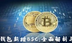 电脑版TP钱包新增BSC：全面解析与使用指南