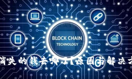 TP钱包消失的钱去哪了？原因与解决方案解析