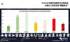 全面解析加密数字货币BTT：未来发展与投资前景
