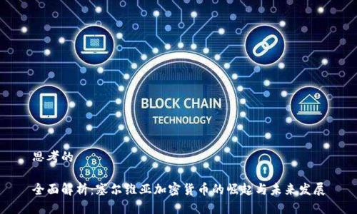 思考的

全面解析：塞尔维亚加密货币的崛起与未来发展