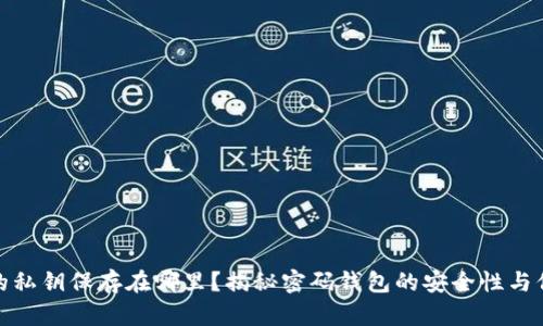TP钱包的私钥保存在哪里?揭秘密码钱包的安全性与保护措施
