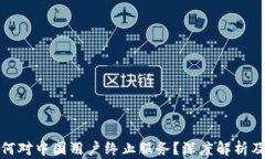 TP钱包为何对中国用户终止服务？深度解析及应对