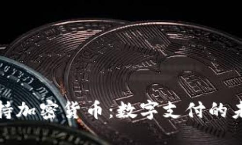 Visa支持加密货币：数字支付的未来变革