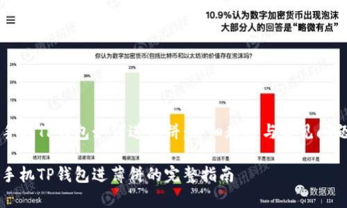 苹果手机TP钱包如何进薄饼：详细教程与常见问题解答

苹果手机TP钱包进薄饼的完整指南