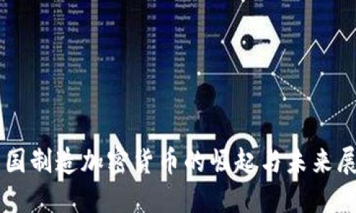 中国制造加密货币的崛起与未来展望