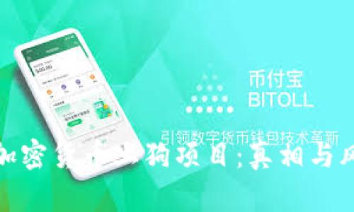 : 揭秘加密货币土狗项目：真相与风险分析