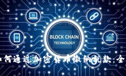 芬兰如何通过加密货币缴纳税款：全面指南