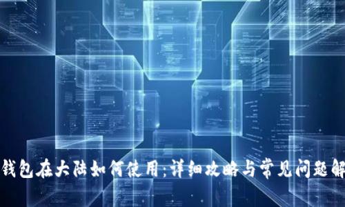 TP钱包在大陆如何使用：详细攻略与常见问题解答
