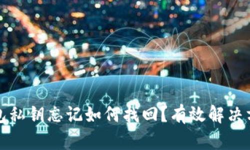 : TP钱包私钥忘记如何找回？有效解决方案指南