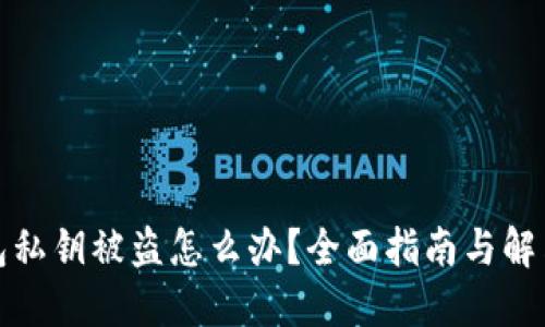 TP钱包私钥被盗怎么办？全面指南与解决方案