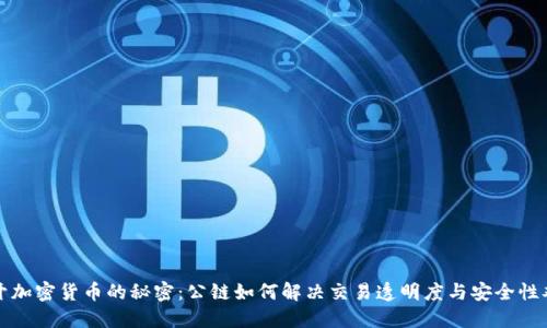 揭开加密货币的秘密：公链如何解决交易透明度与安全性难题