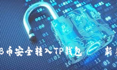 如何将BNB币安全转入TP钱包——新手必看指南