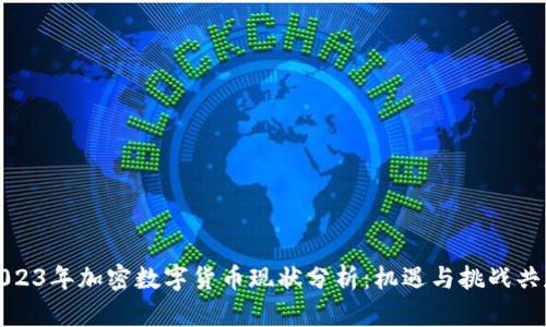 2023年加密数字货币现状分析：机遇与挑战共存