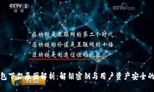 TP钱包下架原因解析：解锁密钥与用户资产安全的隐忧