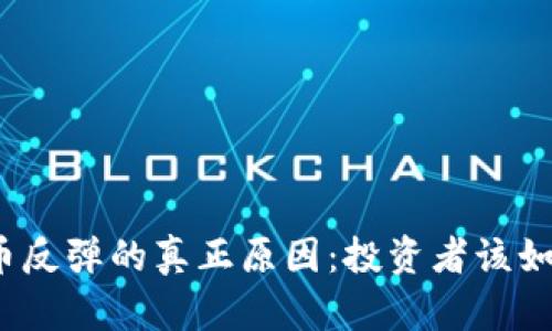 加密货币反弹的真正原因：投资者该如何应对？