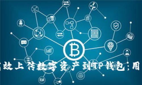 如何高效上传数字资产到TP钱包：用户指南