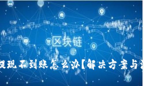 TP钱包提现不到账怎么办？解决方案与注意事项