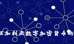 深入探讨：保加利亚数字加密货币的现