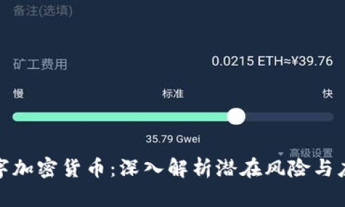 小心数字加密货币：深入解析潜在风险与应对策略