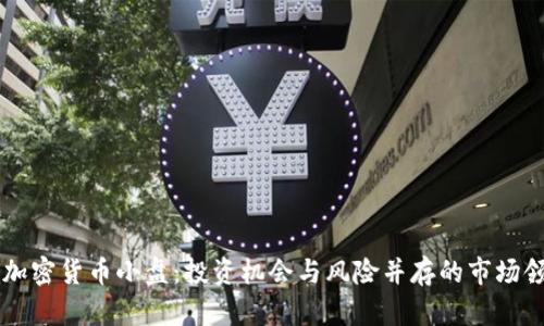 解读加密货币小盘：投资机会与风险并存的市场领头羊
