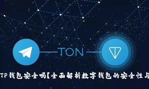 弘盛国际TP钱包安全吗？全面解析数字钱包的安全性与使用指导