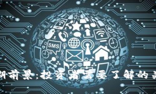 加密货币的长期前景：投资者需要了解的关键趋势和风险