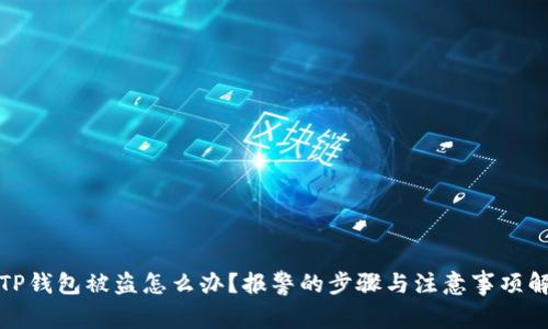 : TP钱包被盗怎么办？报警的步骤与注意事项解析