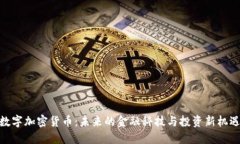 数字加密货币：未来的金融科技与投资