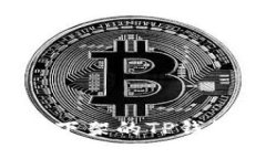 如何下载被下架的TP钱包：详细指南