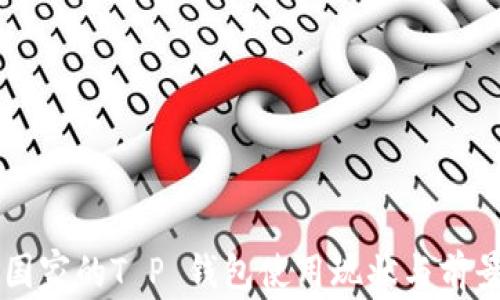 
中东国家的T P 钱包使用现状与前景分析