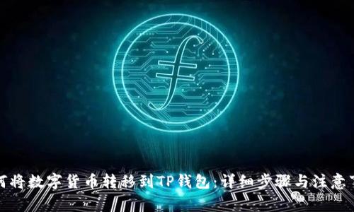 如何将数字货币转移到TP钱包：详细步骤与注意事项
