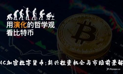 CMC加密数字货币：新兴投资机会与市场前景解析