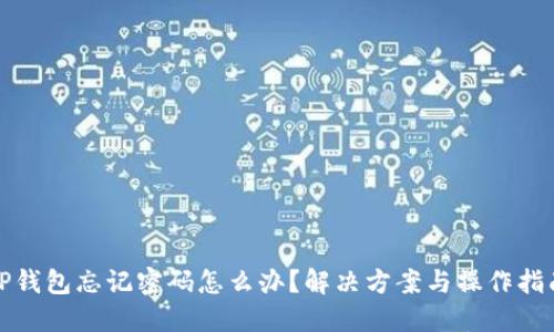 TP钱包忘记密码怎么办？解决方案与操作指南