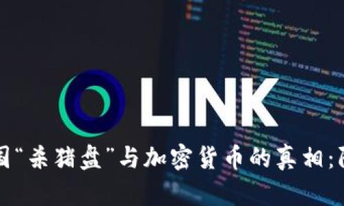 揭开跨国“杀猪盘”与加密货币的真相：防骗指南