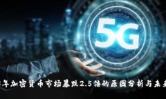 2023年加密货币市场暴跌2.5倍的原因分