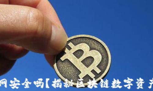 
TP钱包不连网安全吗？揭秘区块链数字资产存储的真相